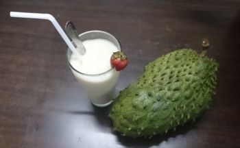 Traicayngon-Cam xoàn, bưởi da xanh Bến Tre, bơ booth... hái tại vườn có hình ảnh vừơn - 23