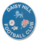 daisyhill.png