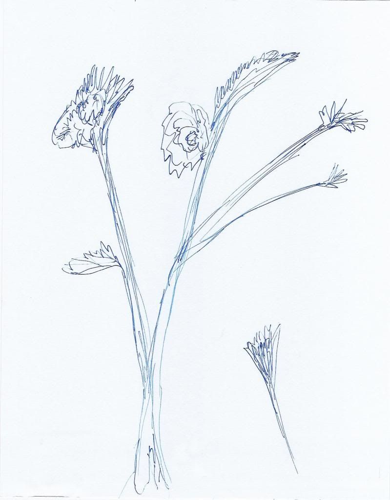 one29-2011007.jpg