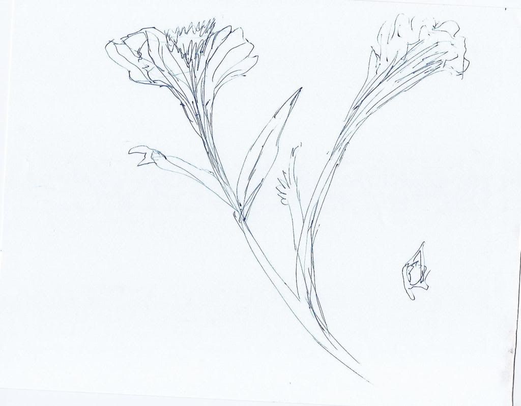 one29-2011009.jpg