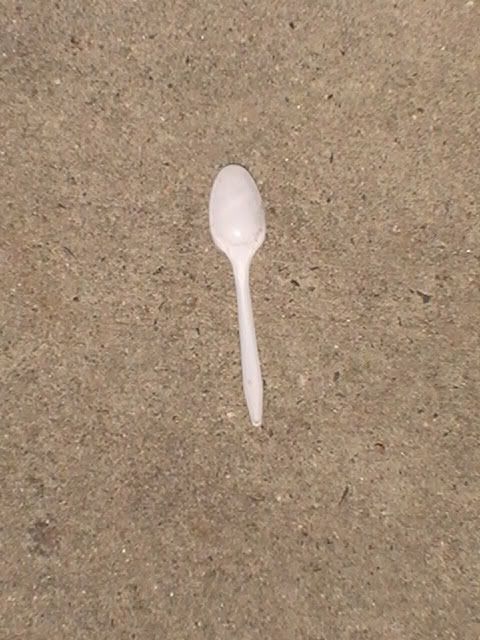 PIC_0361.jpg