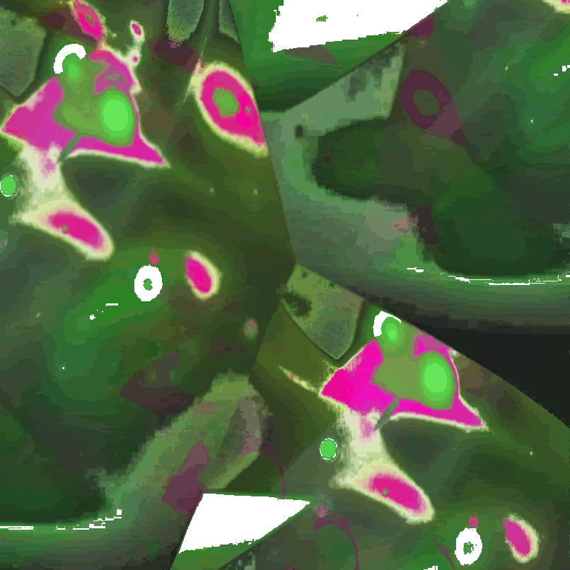htirear.gif
