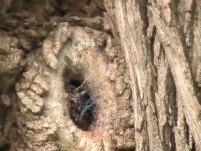 PIC_2940.jpg
