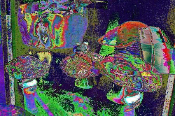 theforthshroom.jpg