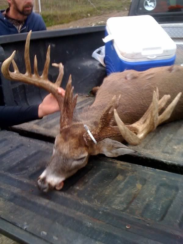 Shawnee state forest Ohio Sportsman Your Ohio Hunting and Fishing