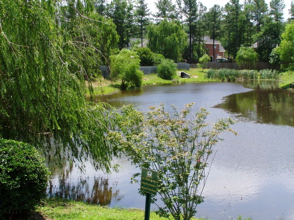 Belfair pond