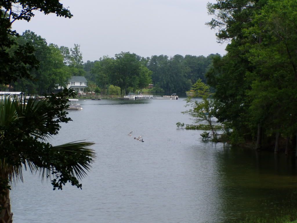 View of Water