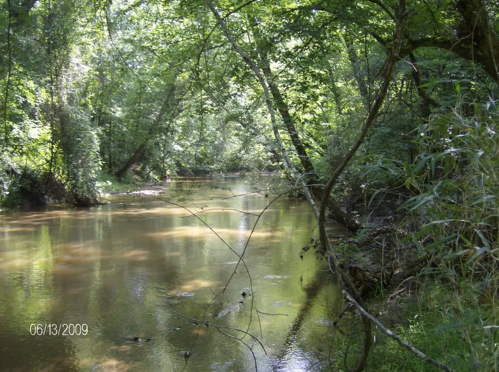 Newberry Land on Duncan Creek