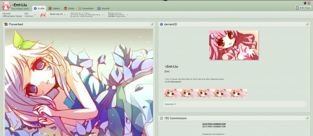 Picture sizes