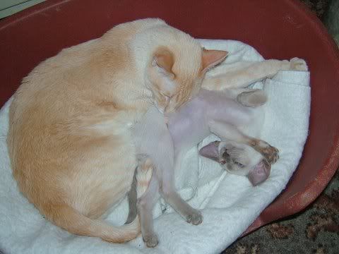 DSCF3834.jpg