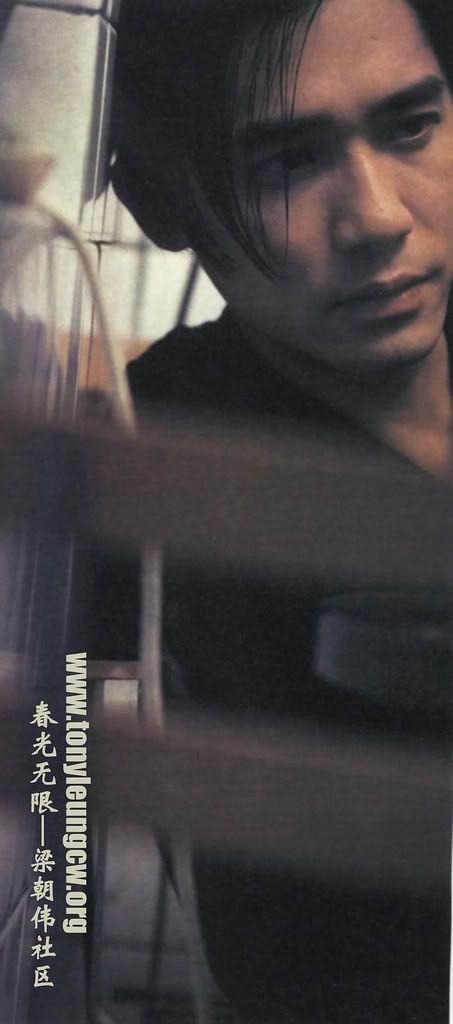 홍콩의 안성기 (ㅋㅋㅋㅋ) 양조위 (梁朝 伟) 혹은 Tony Leung | 인스티즈