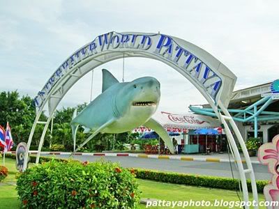 underwaterworld pattaya thailand,underwaterworld pattaya thailand