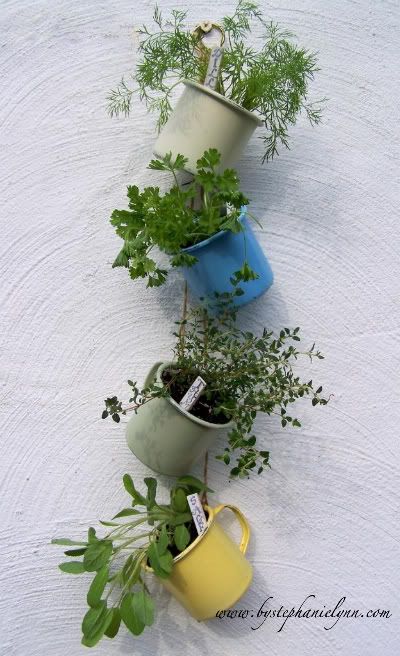 Garden Season l DIY Charming Teacup Planters l See more at http://gardenseason.com/diy-charming-teacup-planters