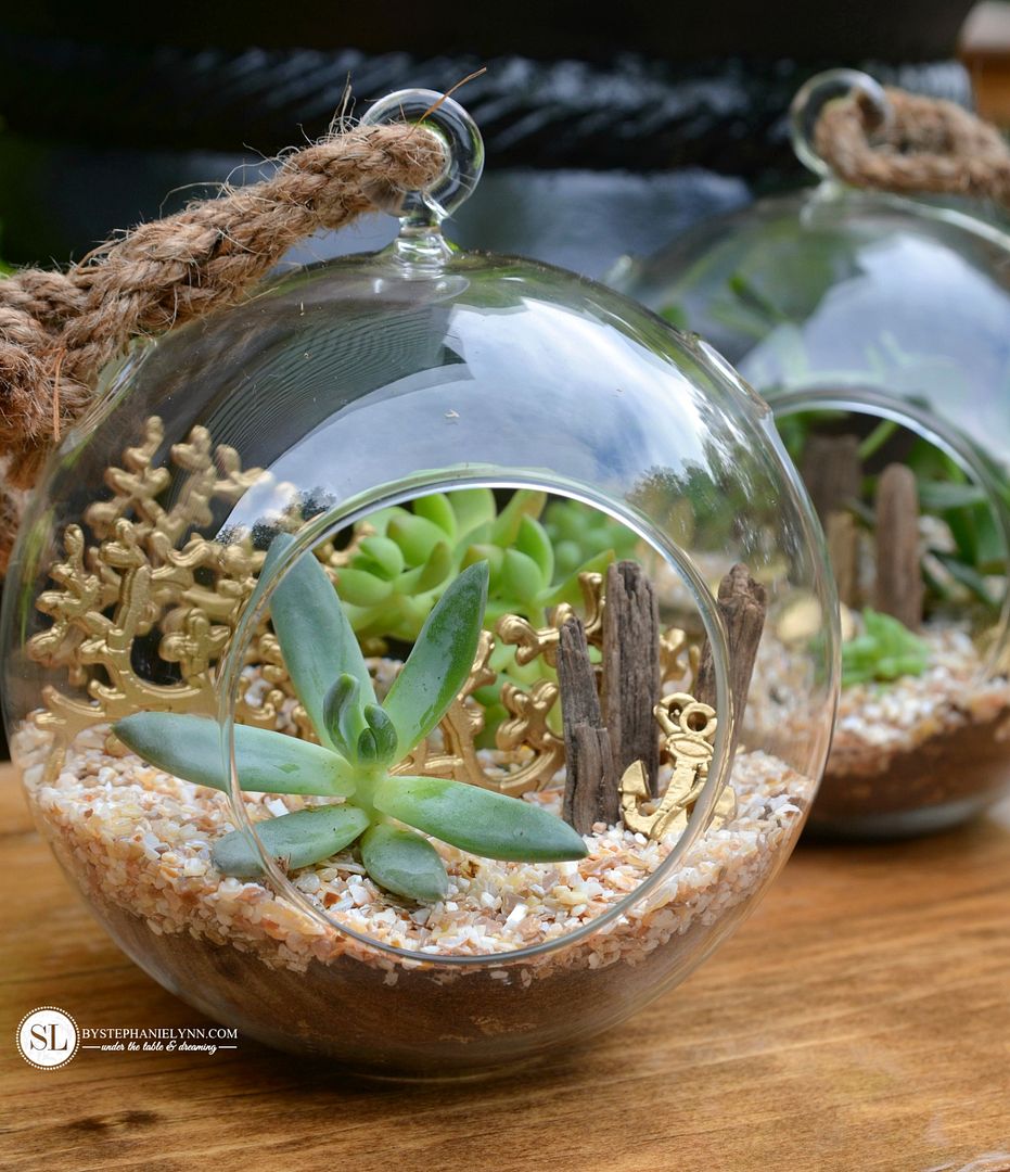 Beach Inspired Terrarium | Terrarium Plants That You'll Love For Your Homestead