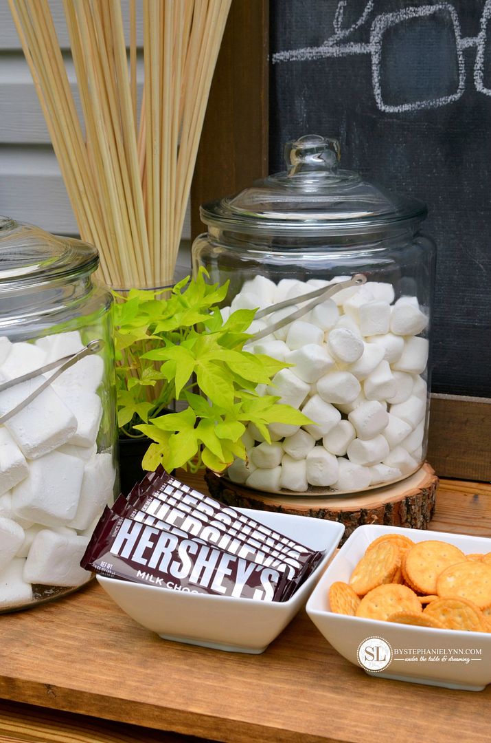 S'mores Bar Party | build-your-own s'mores party table set up #