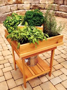 Herb Garden Inspiration &amp; Ideas {Over 50 Pots, Planters, and 