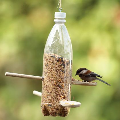 Plastic Bottle Bird Feeder Craft