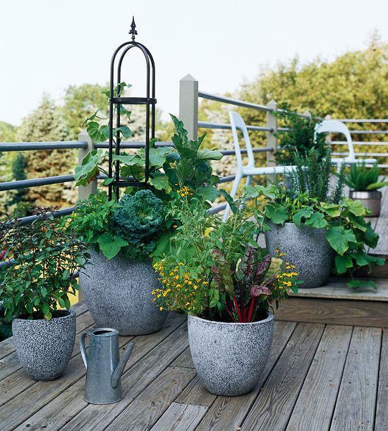 35 Herb Container Gardens ~ Pots & Planters {Saturday Inspiration ...