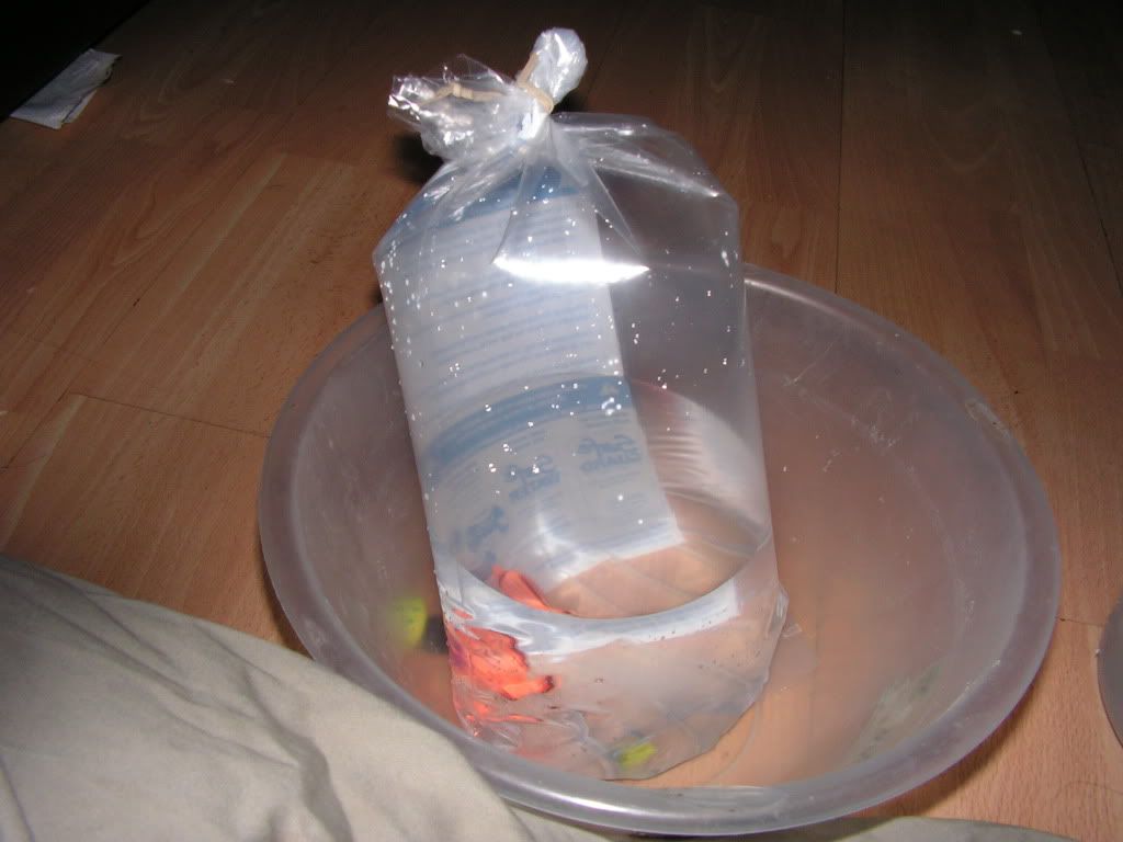 How To Properly Bag Fish For Transport Tropical Fish Forums