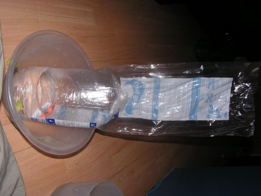 How To Properly Bag Fish For Transport Tropical Discussion Tropical