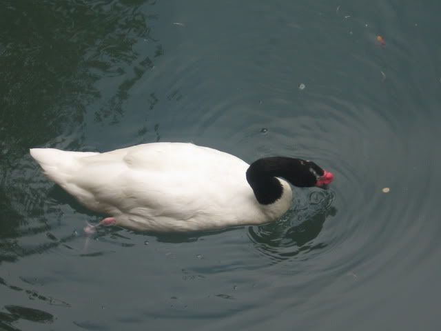 2009064.jpg picture by mydriene
