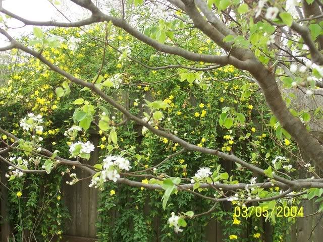 Picture268.jpg picture by mydriene