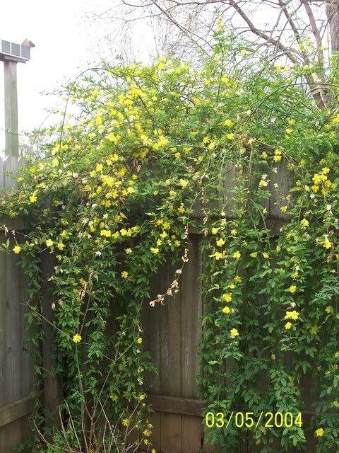 Picture269.jpg picture by mydriene