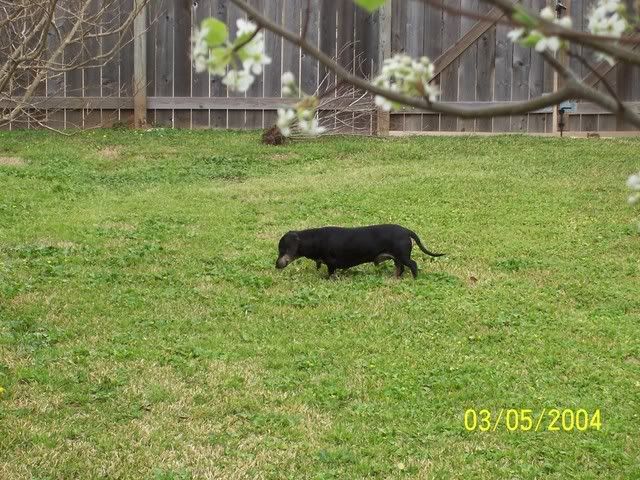 Picture270.jpg picture by mydriene