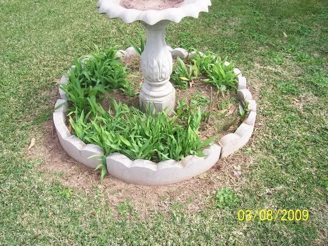 Picture272.jpg picture by mydriene