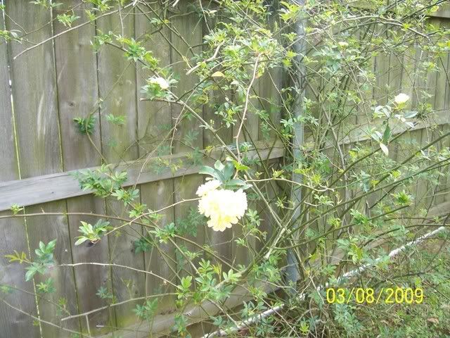 Picture273.jpg picture by mydriene