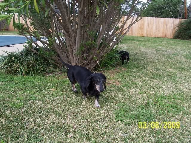 Picture275.jpg picture by mydriene