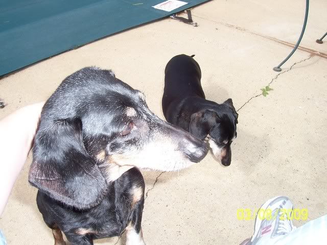 Picture277.jpg picture by mydriene