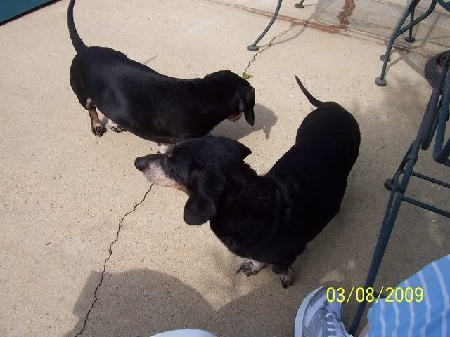 Picture278.jpg picture by mydriene