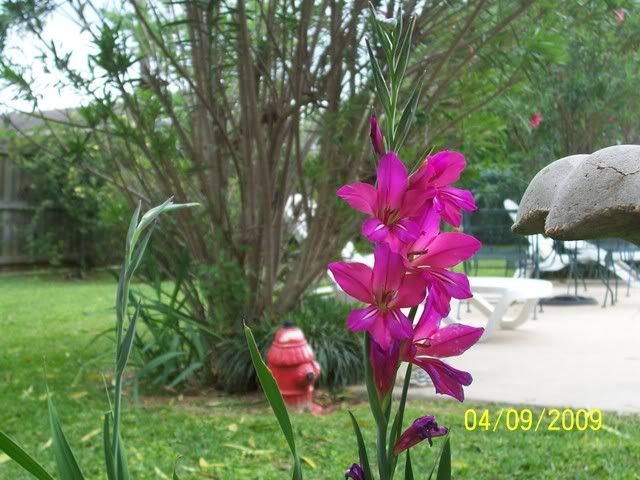 aprilpics008.jpg picture by mydriene