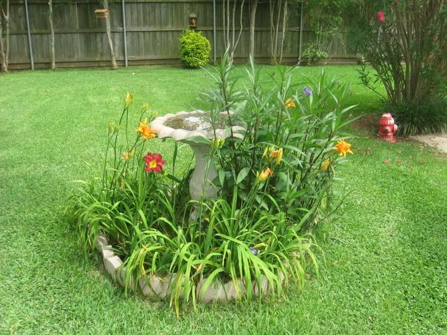 birdbath003.jpg picture by mydriene