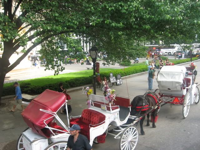 nyc2010.jpg picture by mydriene