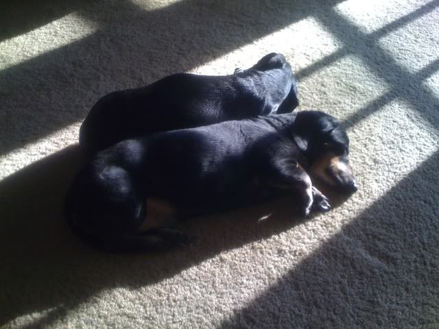 phonepics148.jpg picture by mydriene