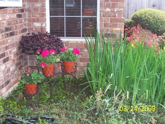 pics140.jpg picture by mydriene