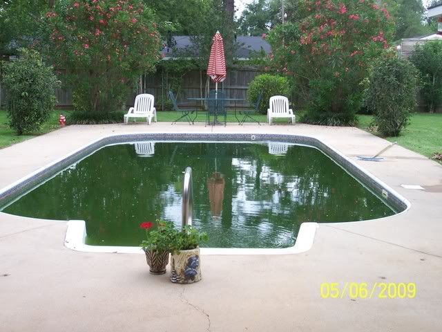 pool060.jpg picture by mydriene