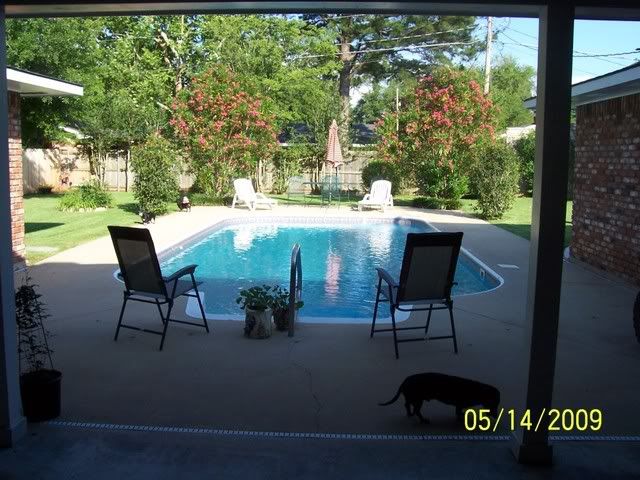 pool063.jpg picture by mydriene