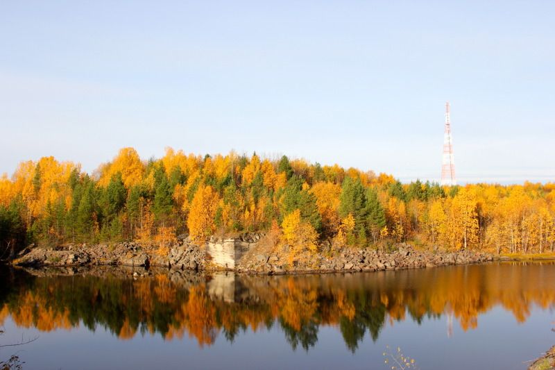 Лучшее Фото Осеннего Леса