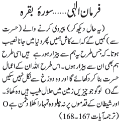 05 11 3 - ~!~ Farman-e- Elahi ~!~ Daily Update