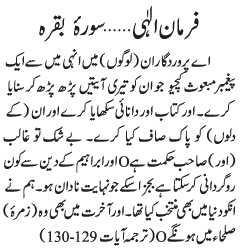 05 11 - ~!~ Farman-e- Elahi ~!~ Daily Update