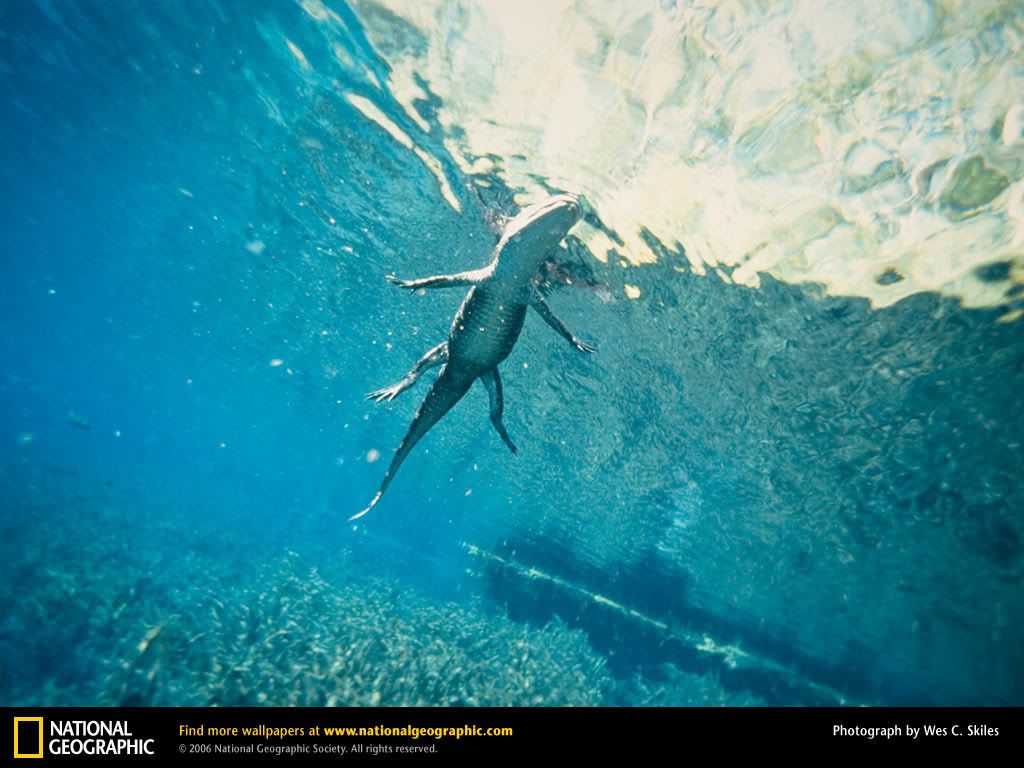 46 - National Geographic Images (Daily Update)