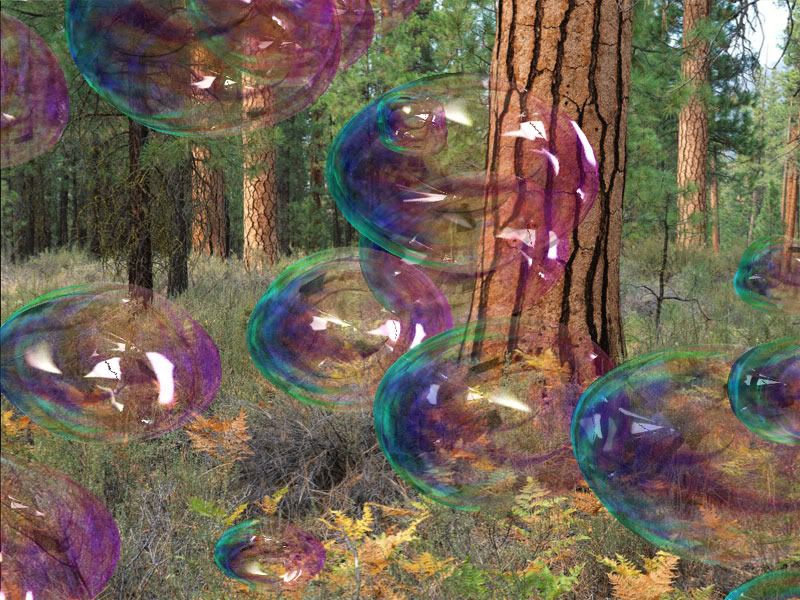 amazing bubbles 3d screensaver 800  - ... Amazing Bubbles ...