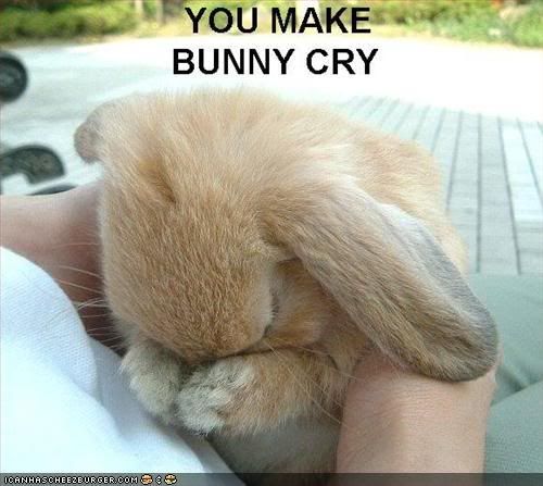 funny pictures bunny is sad - Sad Animal...