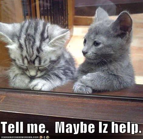 funny pictures kitten offers to hel - Sad Animal...