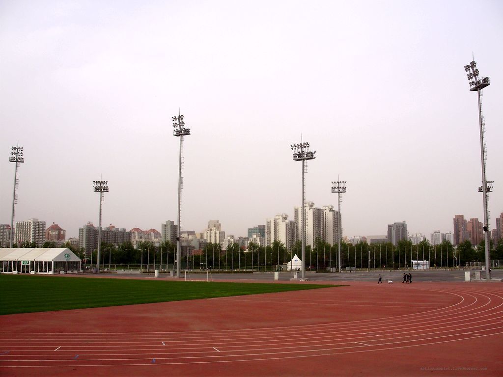 Поле