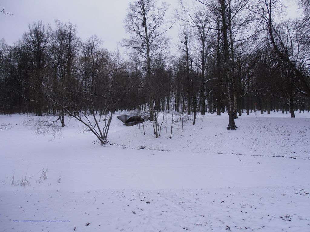 Снова парк