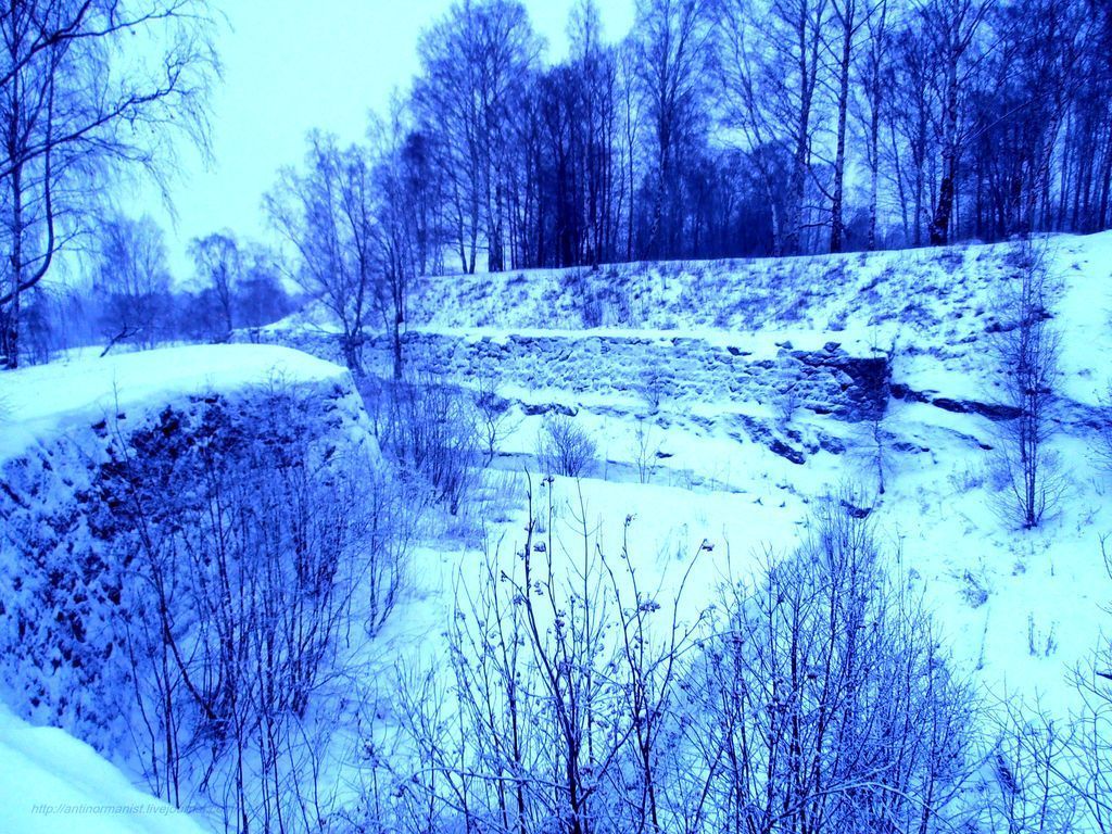 Восточно-Выборгские укрепления